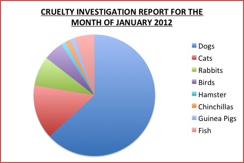 Animal Cruelty Statistics - Animal Cruelty Public Policy